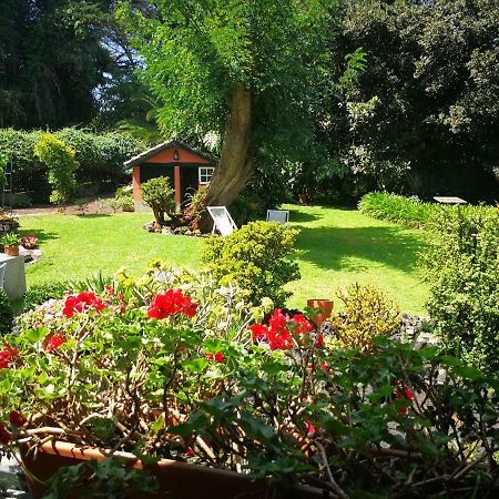 Jardines De Hortensia - Vacation Home Tenerife La Laguna  Kültér fotó