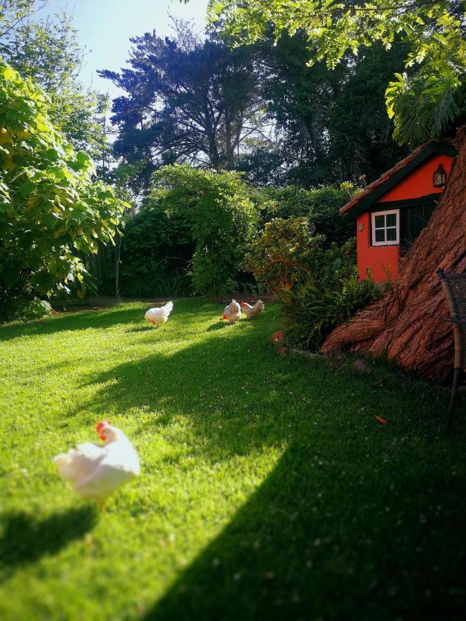 Jardines De Hortensia - Vacation Home Tenerife La Laguna  Kültér fotó