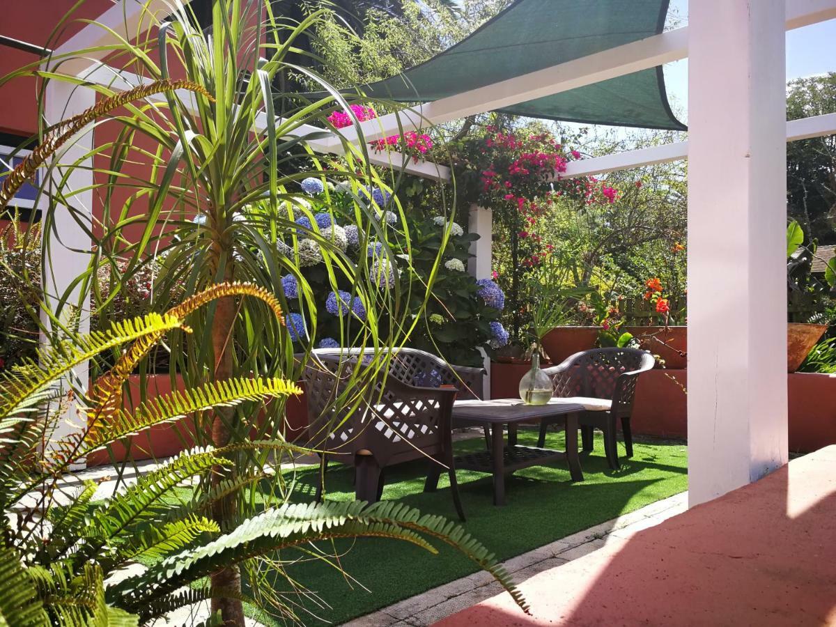 Jardines De Hortensia - Vacation Home Tenerife La Laguna  Kültér fotó