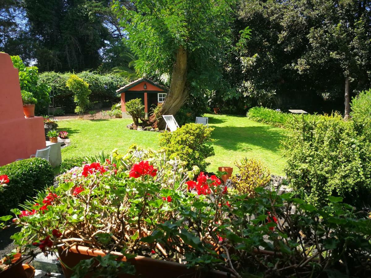 Jardines De Hortensia - Vacation Home Tenerife La Laguna  Kültér fotó