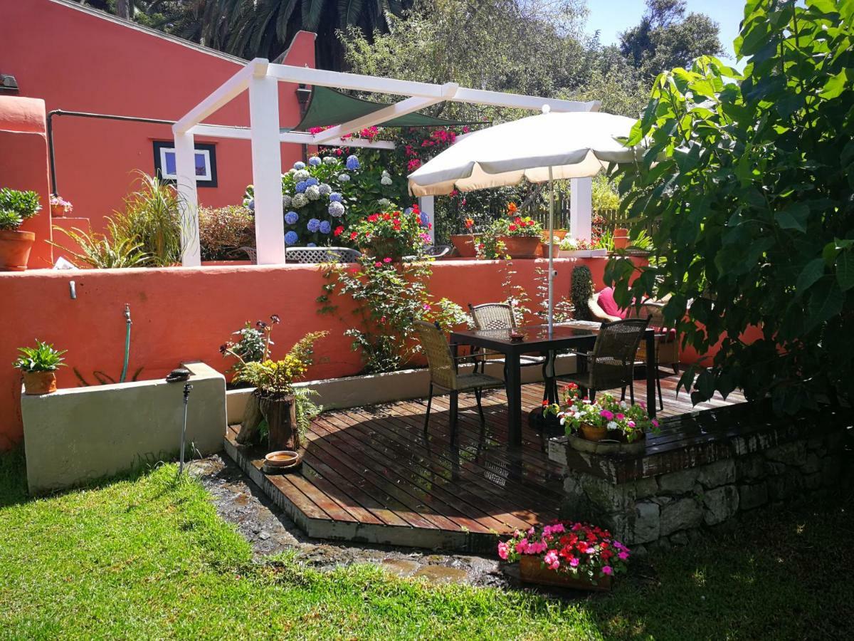 Jardines De Hortensia - Vacation Home Tenerife La Laguna  Kültér fotó